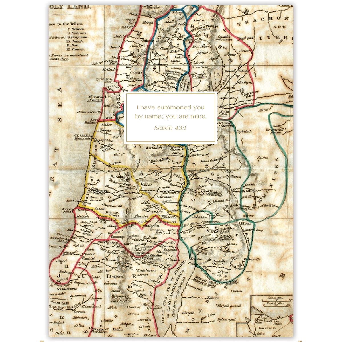 Holy Land (Women's)